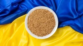 zboże z Ukrainy, import zboża, zboże techniczne 