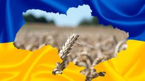 korupcja, Ukraina, eksport zboża 